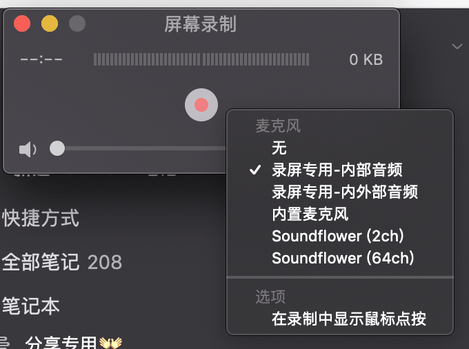 录屏专用-内部音频